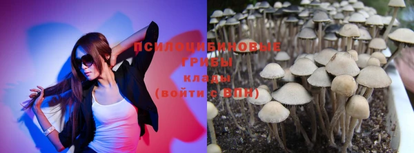 гидропоника Бородино