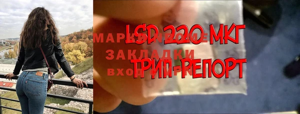 гидропоника Бугульма