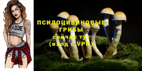 гидропоника Бугульма